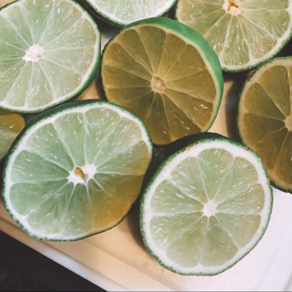 Meet your Posher, Terra